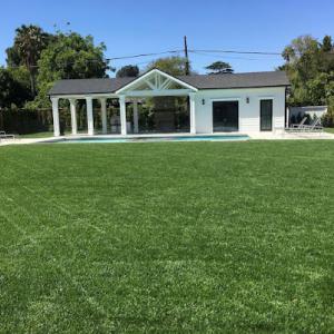 Green Essence Tree & Landscape