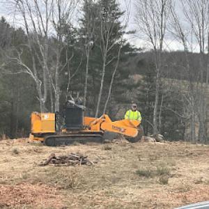 McGrath Stump Removal