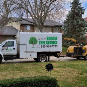 The Original Budget Tree Service
