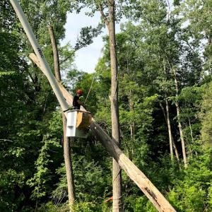 Addison Tree & Outdoor Services