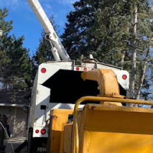 Trspros LLC Stump Grinding/ tree service