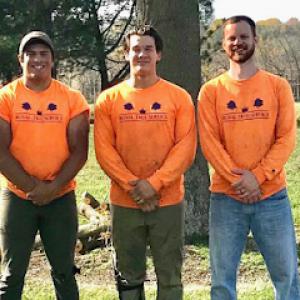Royal Tree Service