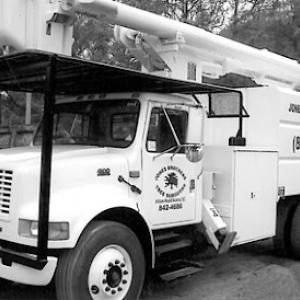 Jones Brothers Tree Surgeons