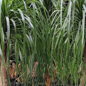 All Terrain Landscaping