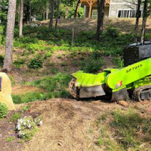 A&E Stump Grinding