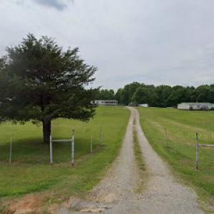 Dale Roberts Tree Service