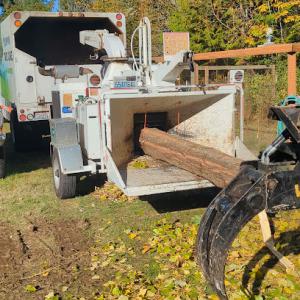 Wildwood Tree Care, LLC - Tree Removal Tree Service Puyallup & Surrounding Areas