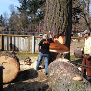 She Cuts It Tree Service