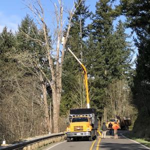 Hunters Tree Service