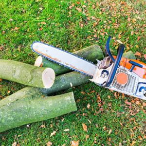 Mauldin Tree Service