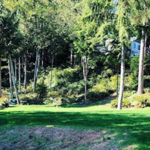 Pacific Tree Management