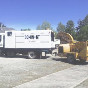 Dominant Tree Service