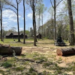 Big Rock Tree Removal