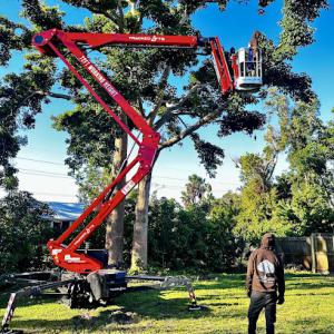 Art's Tree Service