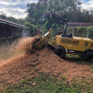 Bionic Beaver Stump Grinding