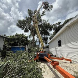 Brightway Tree & Firewood Services