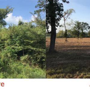 Enviro Clear Land Clearing