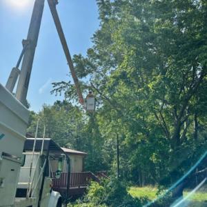 Edwards Tree Service