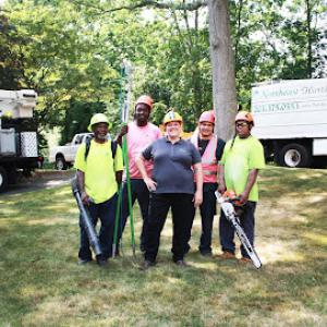 Northeast Horticultural Services