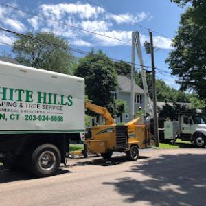 White Hills Landscaping & Tree Service