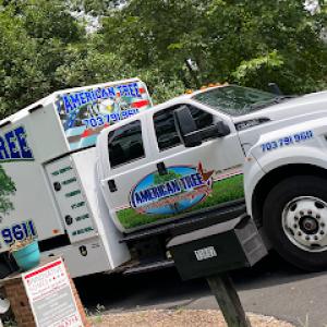 American Tree & Services