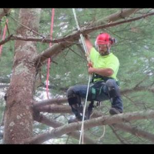 Miguel's Tree & Landscaping