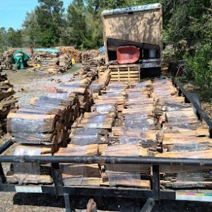 Big Bear's Tree Service