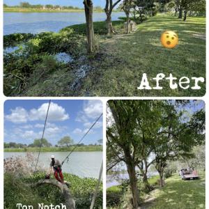 Top Notch Tree Services Rgv