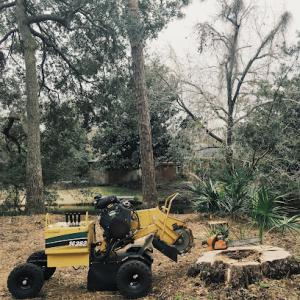 Burton Stump Grinding