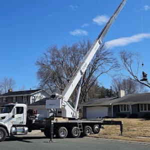 Tree Pro's Tree Service & Landscaping