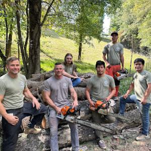 Magnolia Tree Service