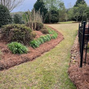 Gonzalez landscaping