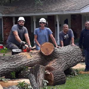 Alvarez Tree Service