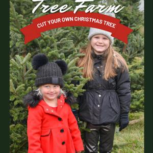 Myers Tree Farm & Potting Shed