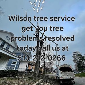 Wilson tree service