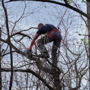 K&G Tree Service