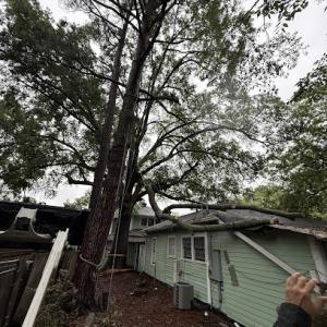 Addison's lawn, land, & tree maintenance