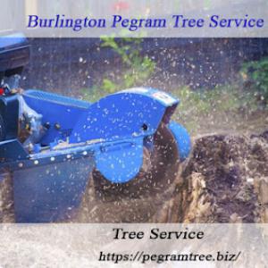 Burlington Pegram Tree Service