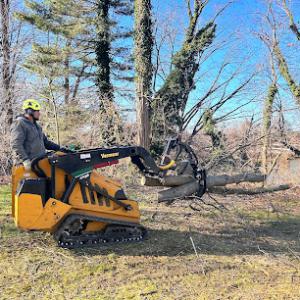 United 1 Tree Services & Landscaping