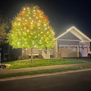 orca christmas lights & permanent lights