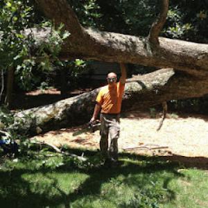 Alexandria Tree Services Unlimited