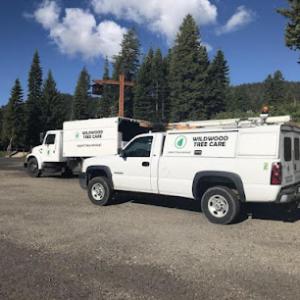 Wildwood Tree Care
