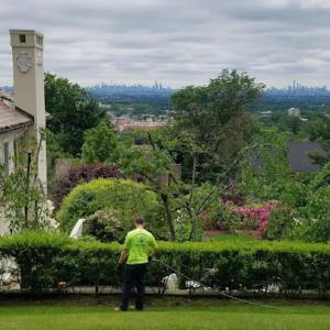 Greenwood Tree & Lawn