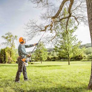 Moorpark Tree Service