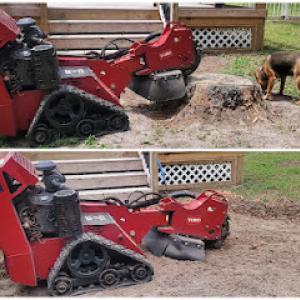 Father Son Stump Removal