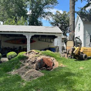 Clark Brothers Stump Removal