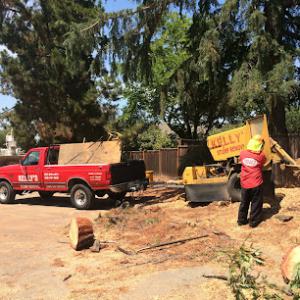 Kelly's Stump Removal