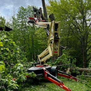 Legacy Tree Service