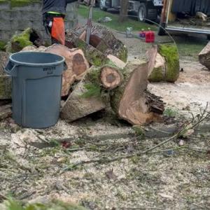 Quality Performance Tree Service