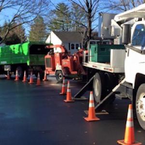 Charles River Tree Company